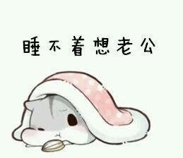 仓鼠撒娇表情包来啦！软萌仓鼠超会撩