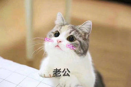 超甜！这套“老公老公我爱你”表情包太适合撩喜欢的人了