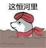火出圈的“这河里吗”表情包到底啥梗？