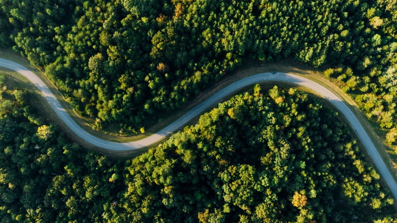 护眼又治愈！森林公路航拍风景壁纸合集