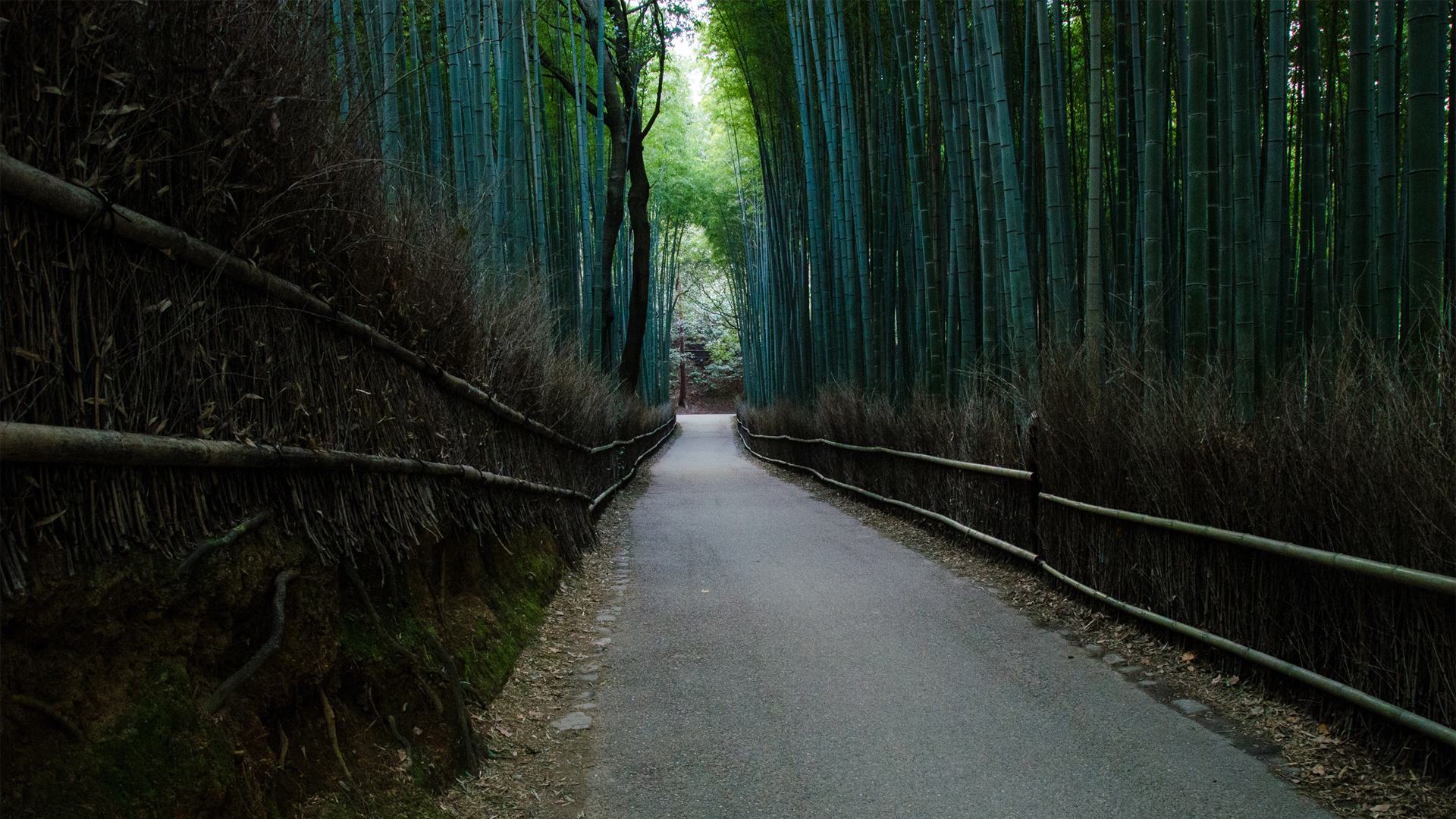竹林小道围栏风景壁纸来啦 多款高清尺寸任你选