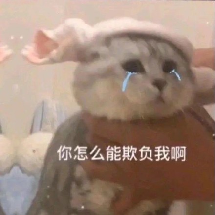 猫咪哭泣流泪猫猫头表情包合集来啦