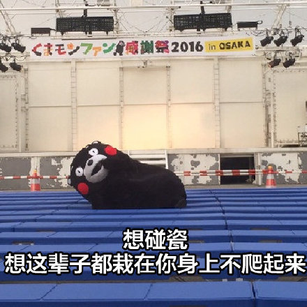 撩到脸红！这套满嘴骚话的表情包太会了