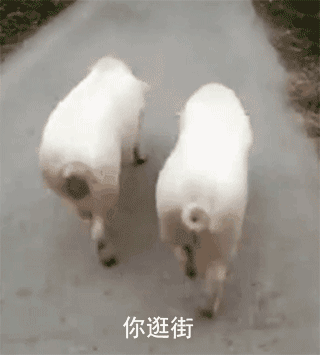超甜“最爱你惹”小猪表情包合集