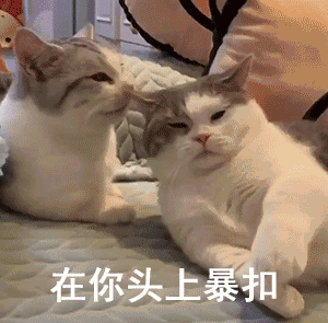 聊天斗图必备！实用GIF动态表情包合集