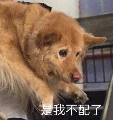 7月20日斗图表情包合集来啦