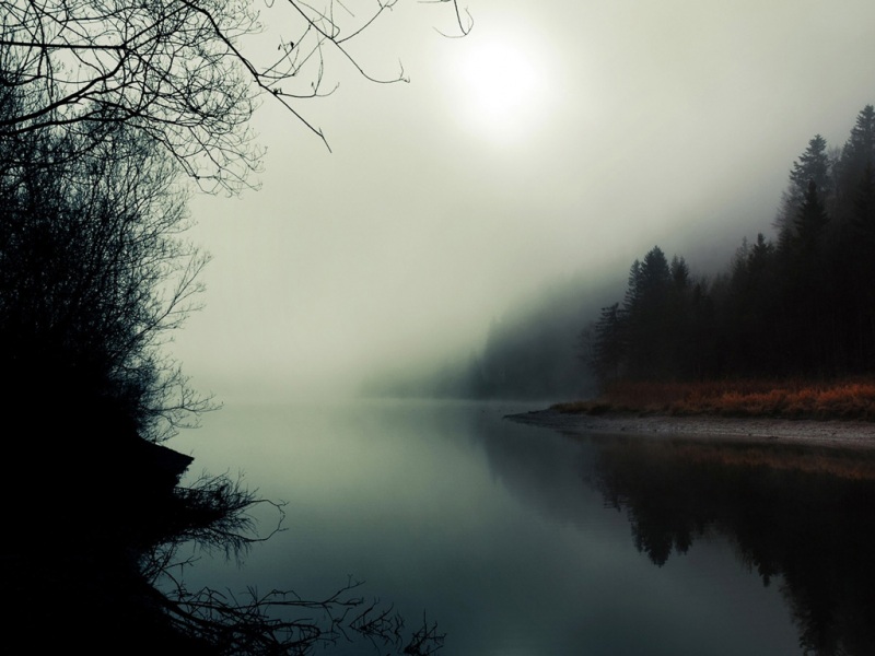 带雾的森林河流风景壁纸 多款高清尺寸可选