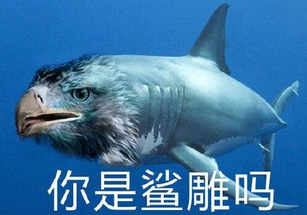 聊天斗图别愁！这套鲨鱼表情包直接封神