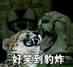 这套“非常豹笑”表情包，简直是快乐源泉