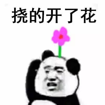 整理好的挠头熊猫头表情包合集，斗图聊天都能用