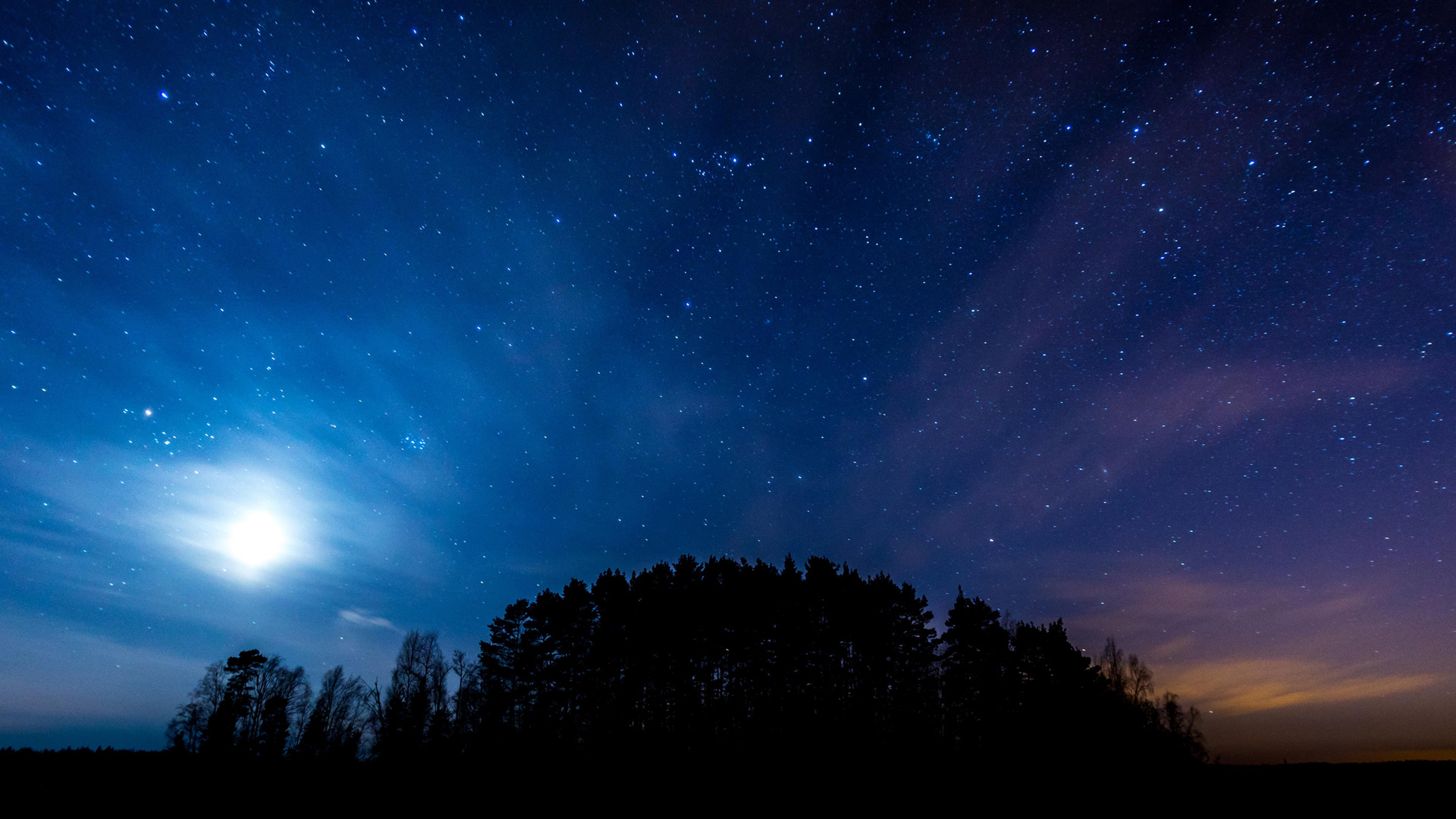 夜晚树林星空高清壁纸上线 多款尺寸可选
