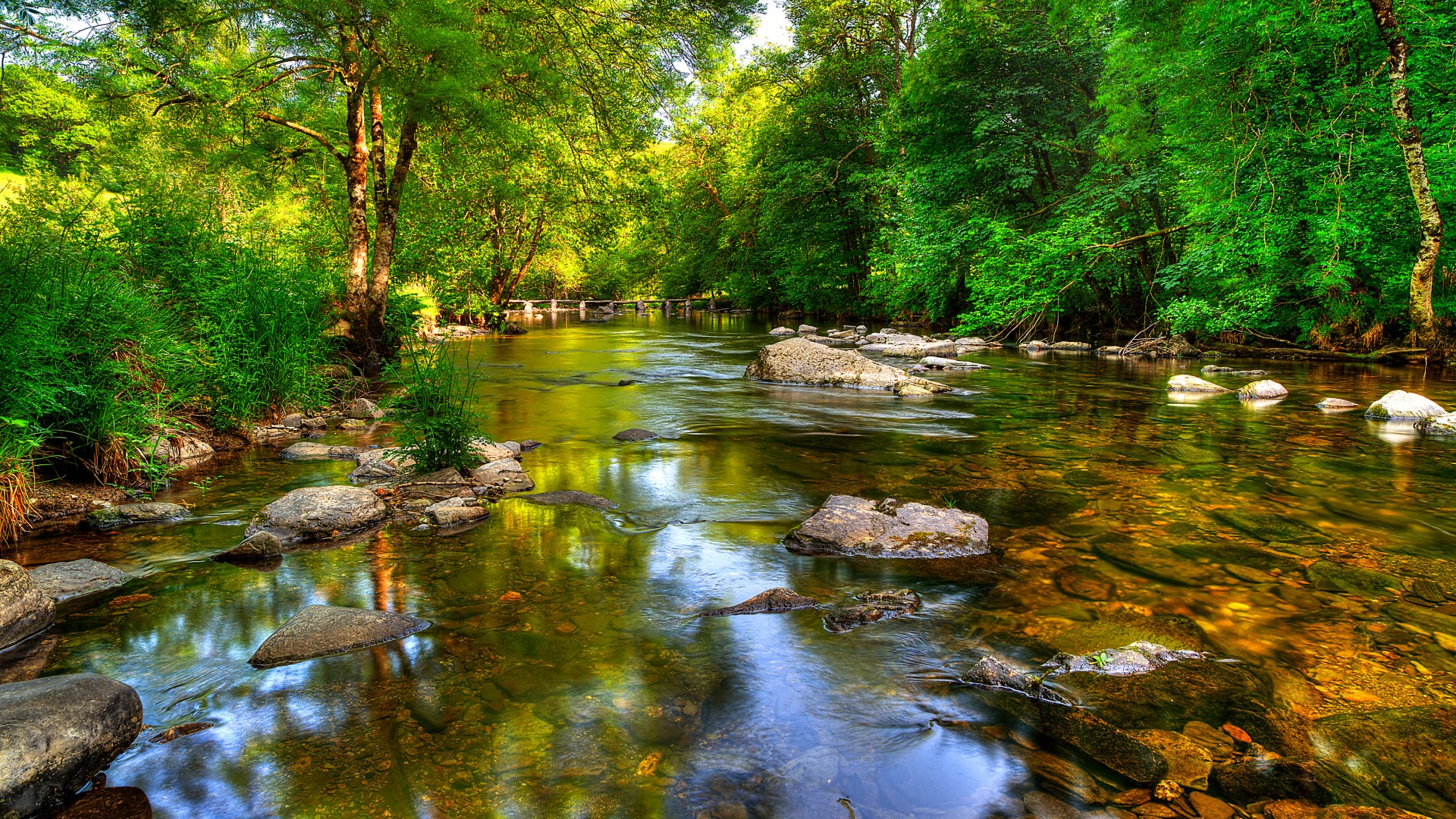 埃克斯穆尔森林湖泊自然风景高清电脑壁纸