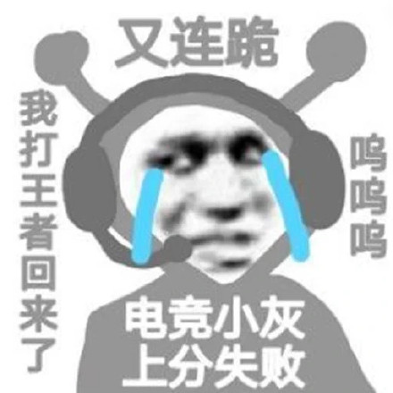 聊天斗图新选择！小黑和他的好朋友们沙雕表情包合集