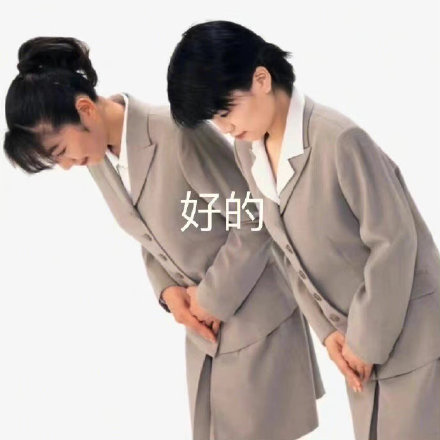 打工人专属！这套低头认错表情包太戳心了