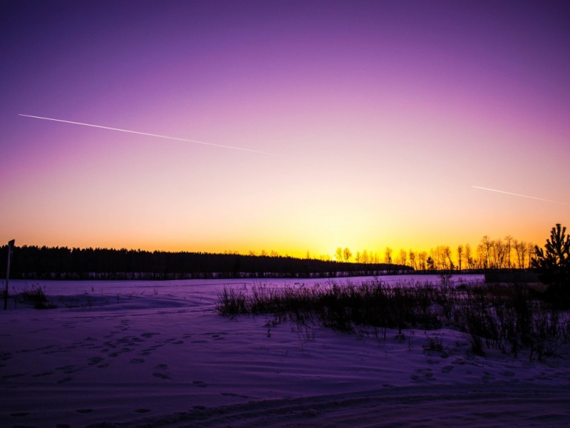 冬日雪色紫调风景壁纸
