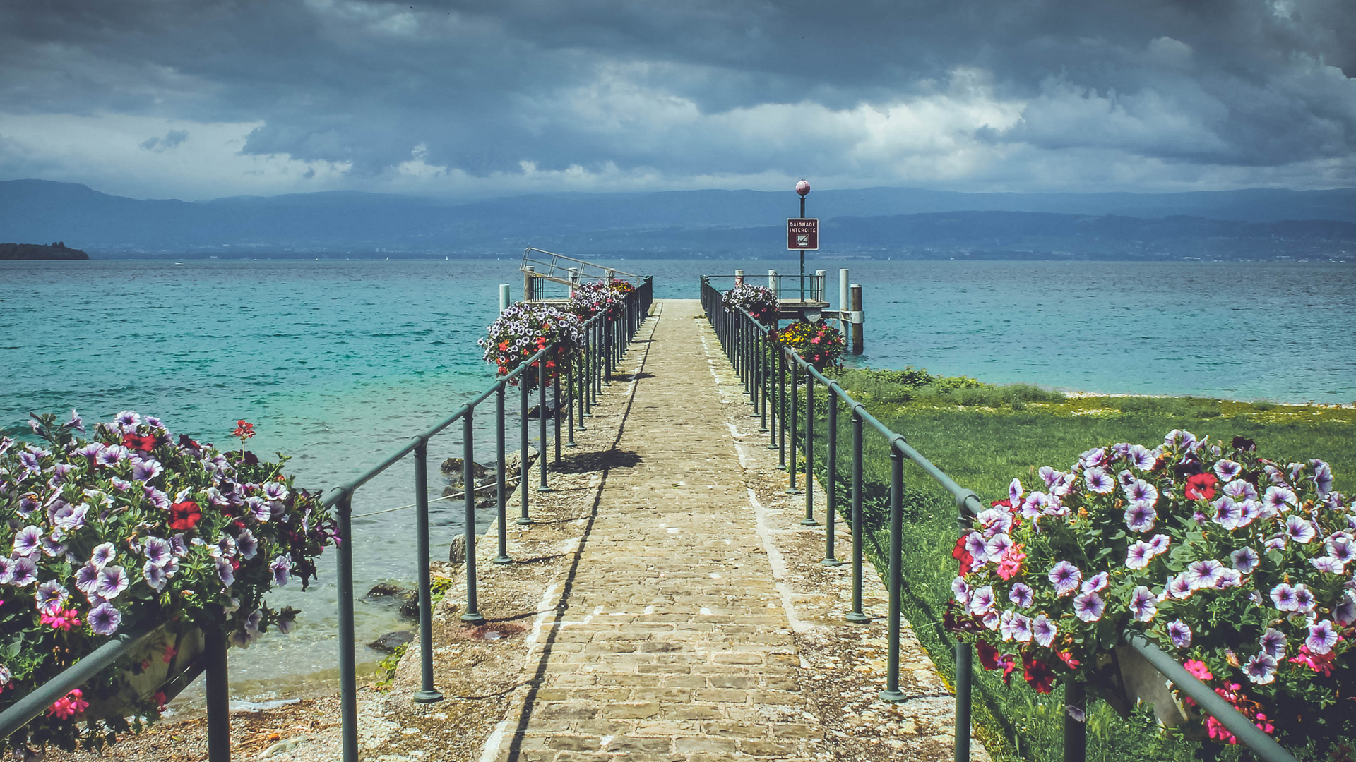 莫奈花园主题风景电脑壁纸上新啦
