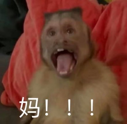 聊天斗图别愁！这套沙雕猴吗喽表情包太好用了