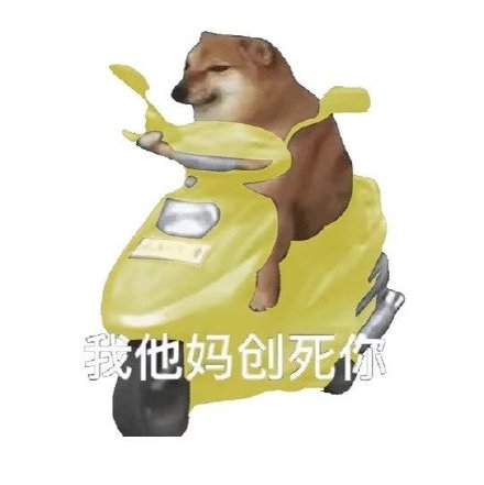 骑车狂飙的沙雕摩的狗表情包火了