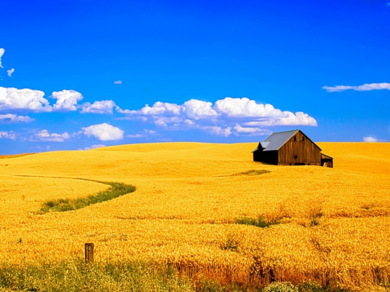 农场麦田风景电脑壁纸 多款分辨率可选