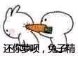 吵架怼人超好用！“你脑子进萝北了吗”表情包合集