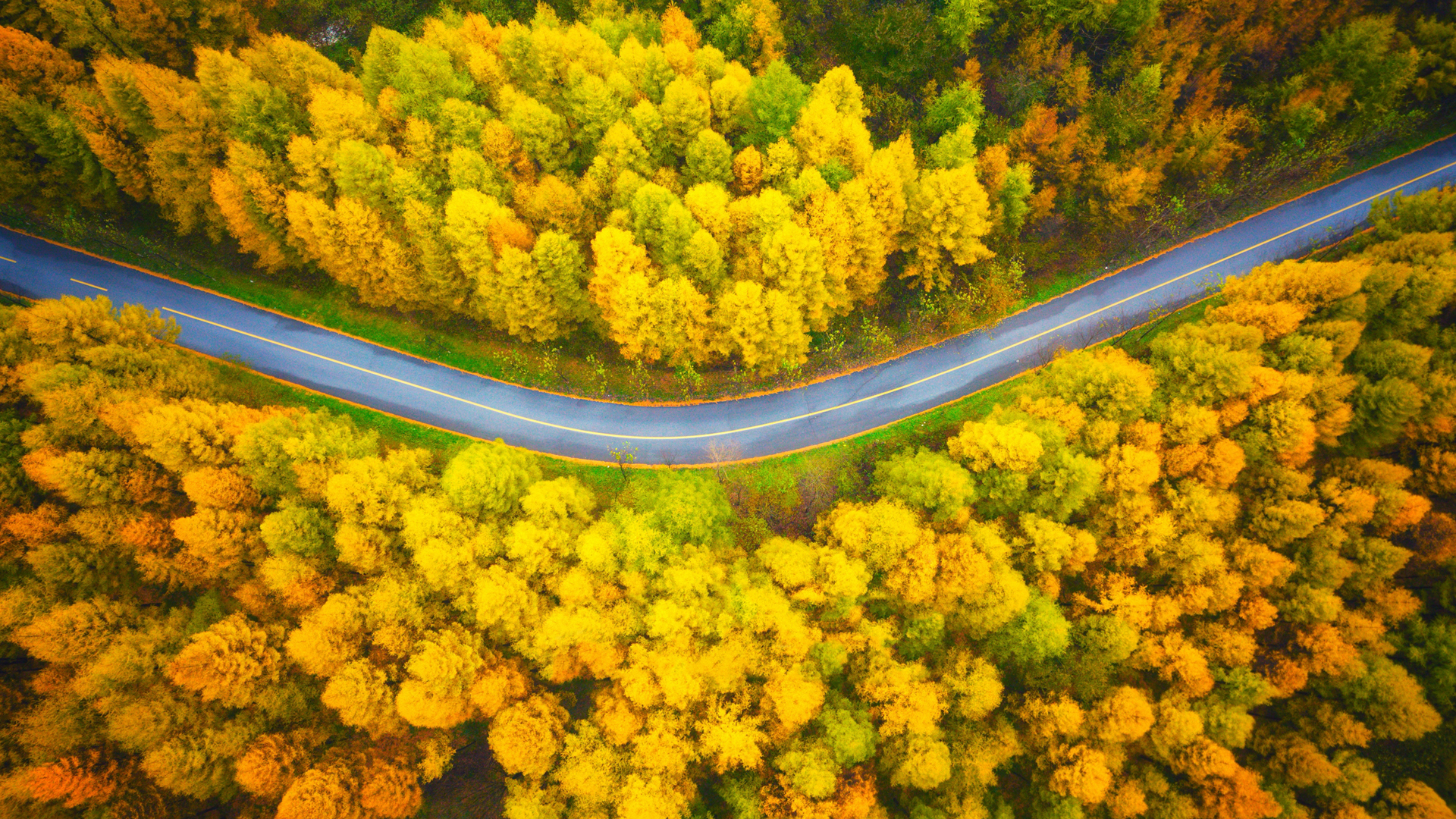 超实用！秋日俯瞰公路风景电脑壁纸合集来啦