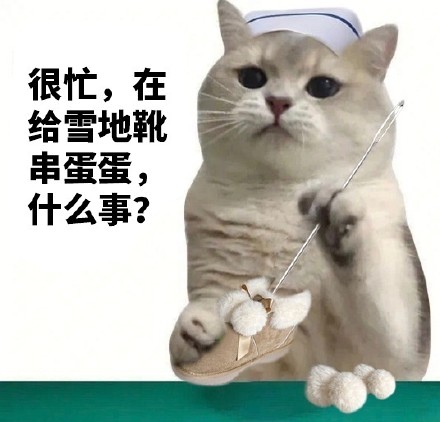 这套猫猫很忙表情包，梗点笑到打鸣