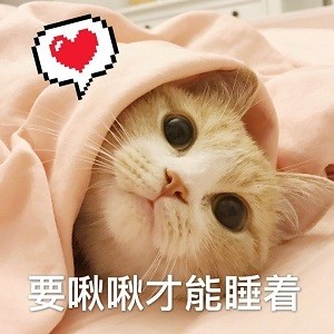 能用来撩对象的猫咪表情包合集