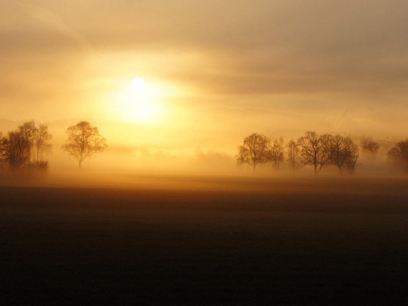 适合电脑用的晨曦自然风景动漫壁纸分享