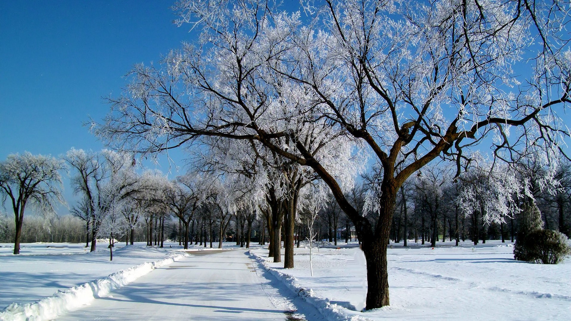冬日霜雪天空路景壁纸