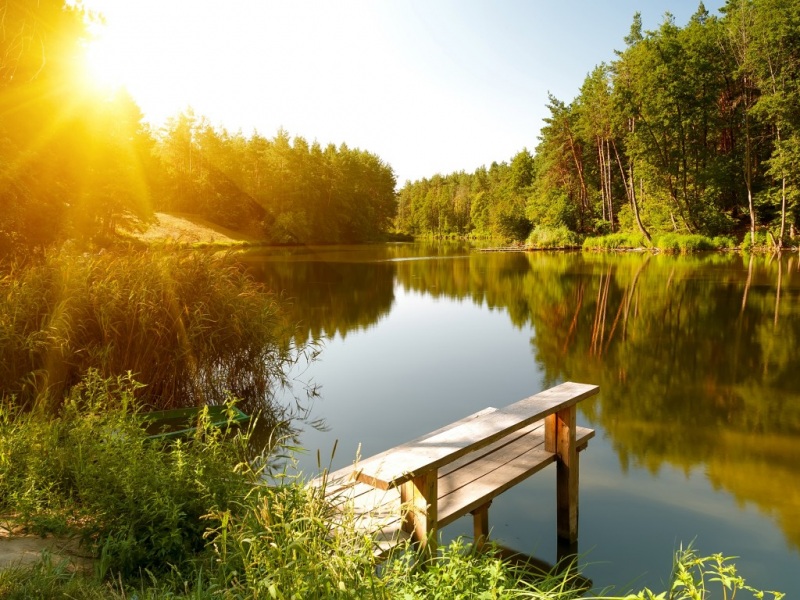 夏日河流森林阳光风景壁纸推荐