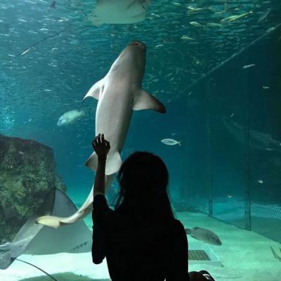 9组高清好看的唯美情侣头像，一对两张共18张