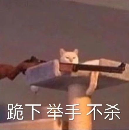 最近聊天总在用的斗图表情包合集