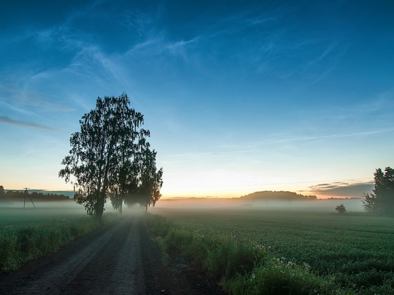 带雾的牧场道路风景 电脑动漫壁纸推荐