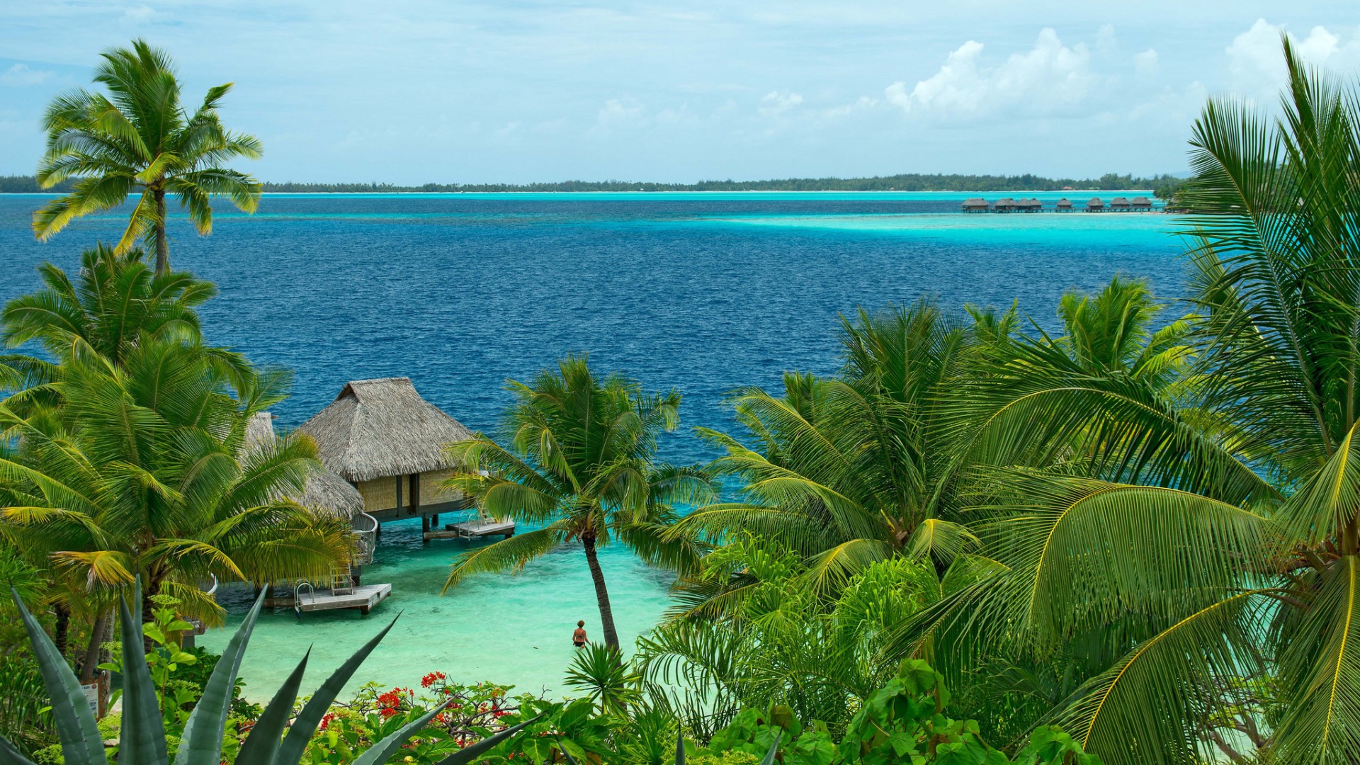 海边别墅棕榈海景 电脑桌面动漫风景壁纸