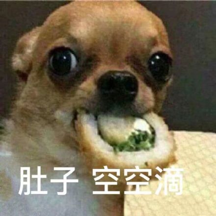 最近聊天斗图都在用的热门表情包整理