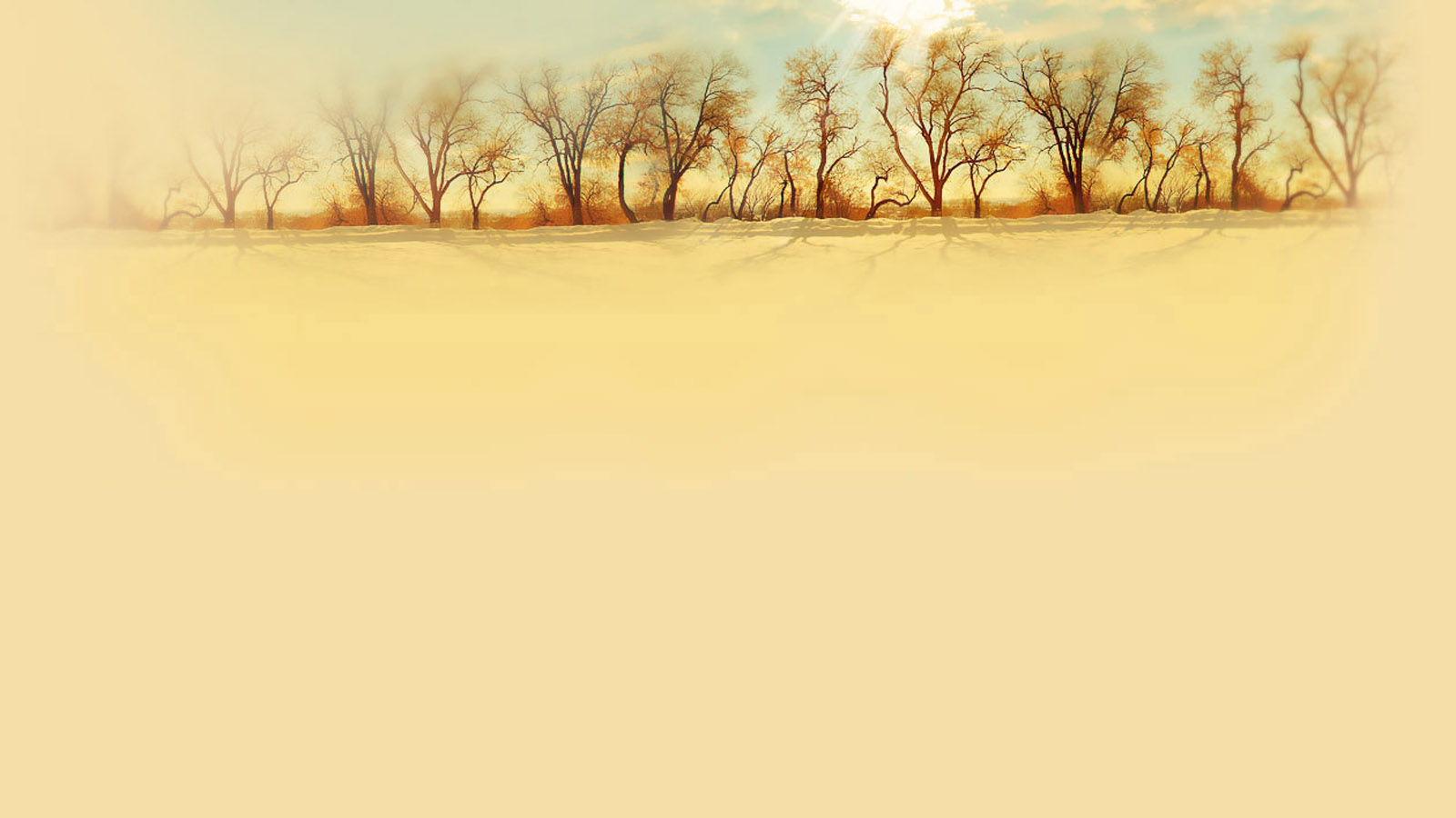 阳光下的治愈风景电脑桌面壁纸来啦