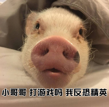 小姐姐搭讪小哥哥的表情包合集来啦