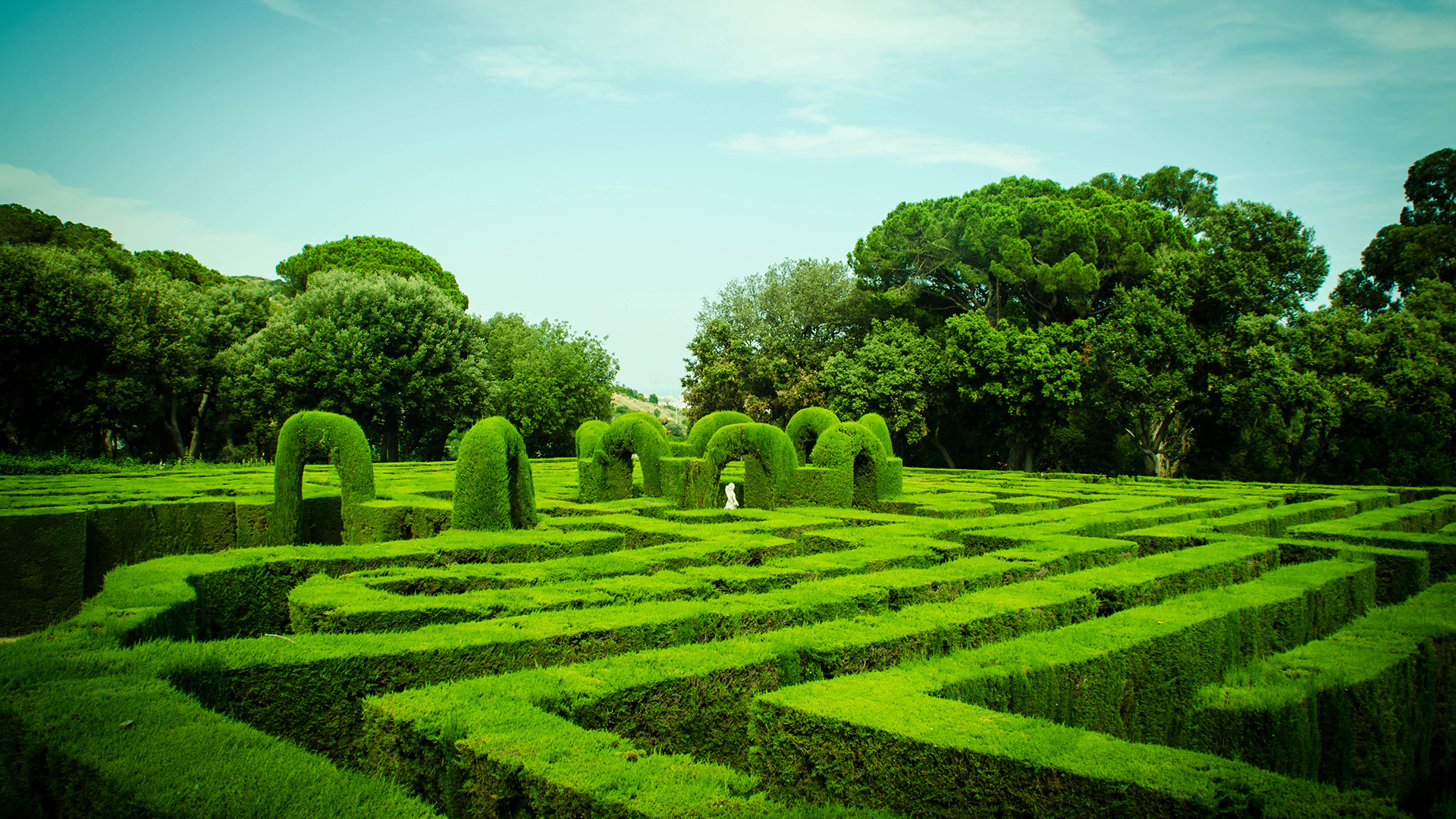 超治愈！带迷宫绿植的晴朗天空护眼风景电脑壁纸