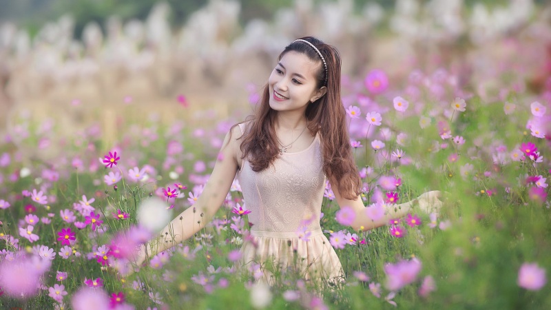 粉色花海配清新少女 治愈感拉满的电脑桌面壁纸