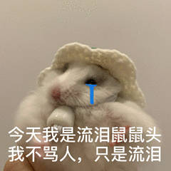 聊天斗图别愁！这套小仓鼠表情包直接封神