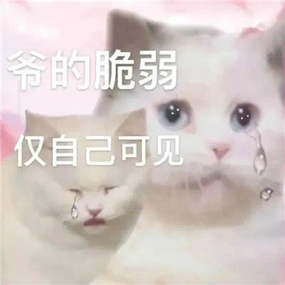 9月3日最新热门表情包合集