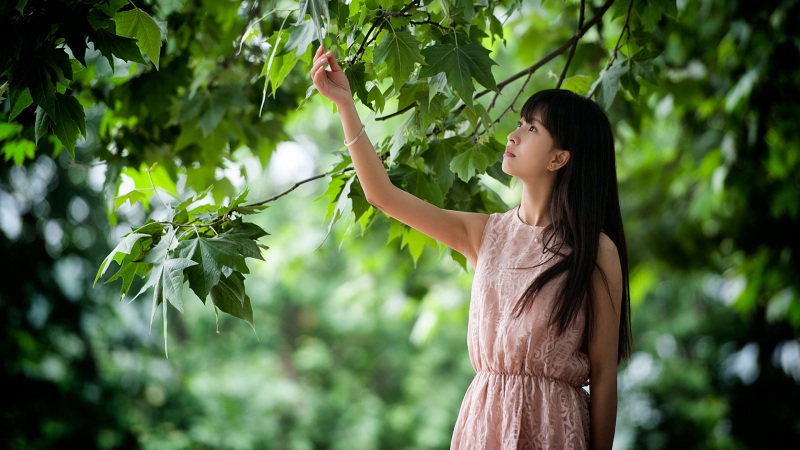 武大校花小清新风格高清壁纸推荐