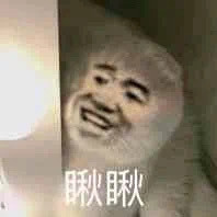 聊天斗图就靠它！猫狗高糊表情包合集来了