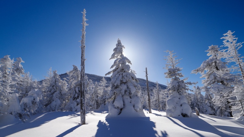 冬日山林雪景电脑壁纸