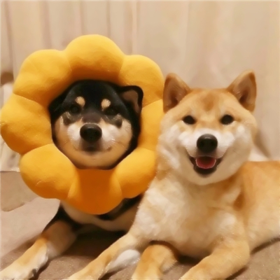 魔性又上头！10组搞怪情侣头像一对两张高清版