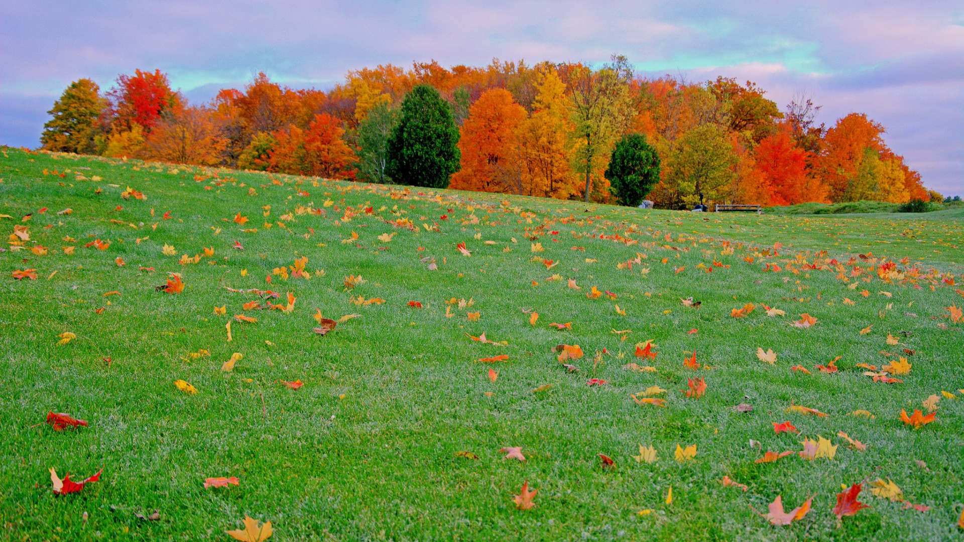 秋日治愈系风景电脑壁纸