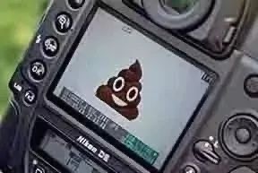 熊猫头拍照摔相机 超火斗图表情包来啦