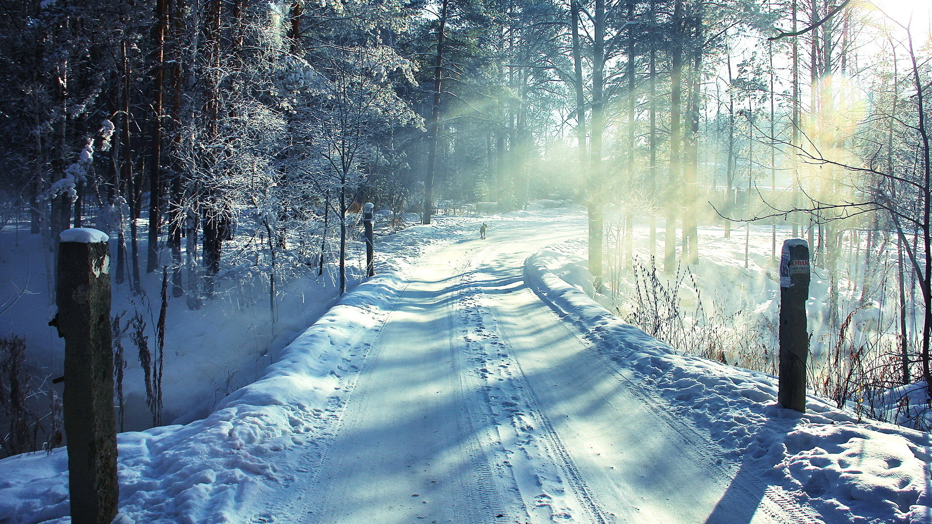 冬日林间雪路壁纸！氛围感拉满的电脑桌面背景