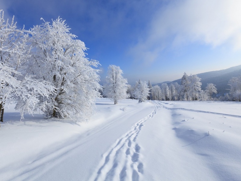 冬日林间公路雪地小屋脚印壁纸 适配多尺寸电脑桌面