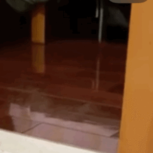 聊天斗图不用愁！这套实用动图表情包直接存